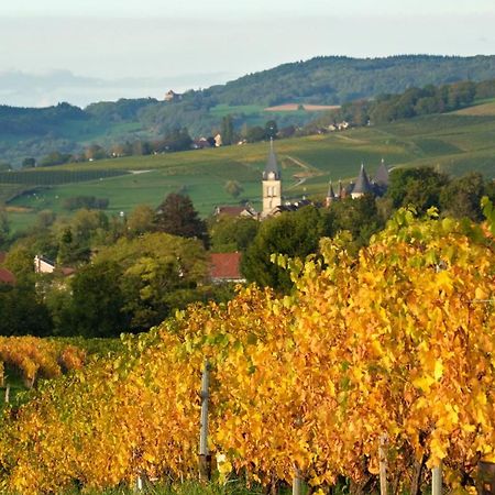 Gite Le Douglas, Vignoble Et Reculees Du Jura - Avec Sauna Lavigny Eksteriør bilde