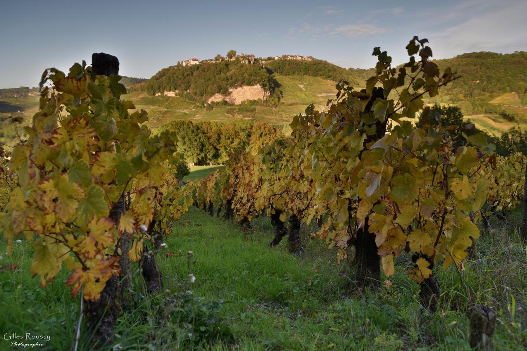 Gite Le Douglas, Vignoble Et Reculees Du Jura - Avec Sauna Lavigny Eksteriør bilde