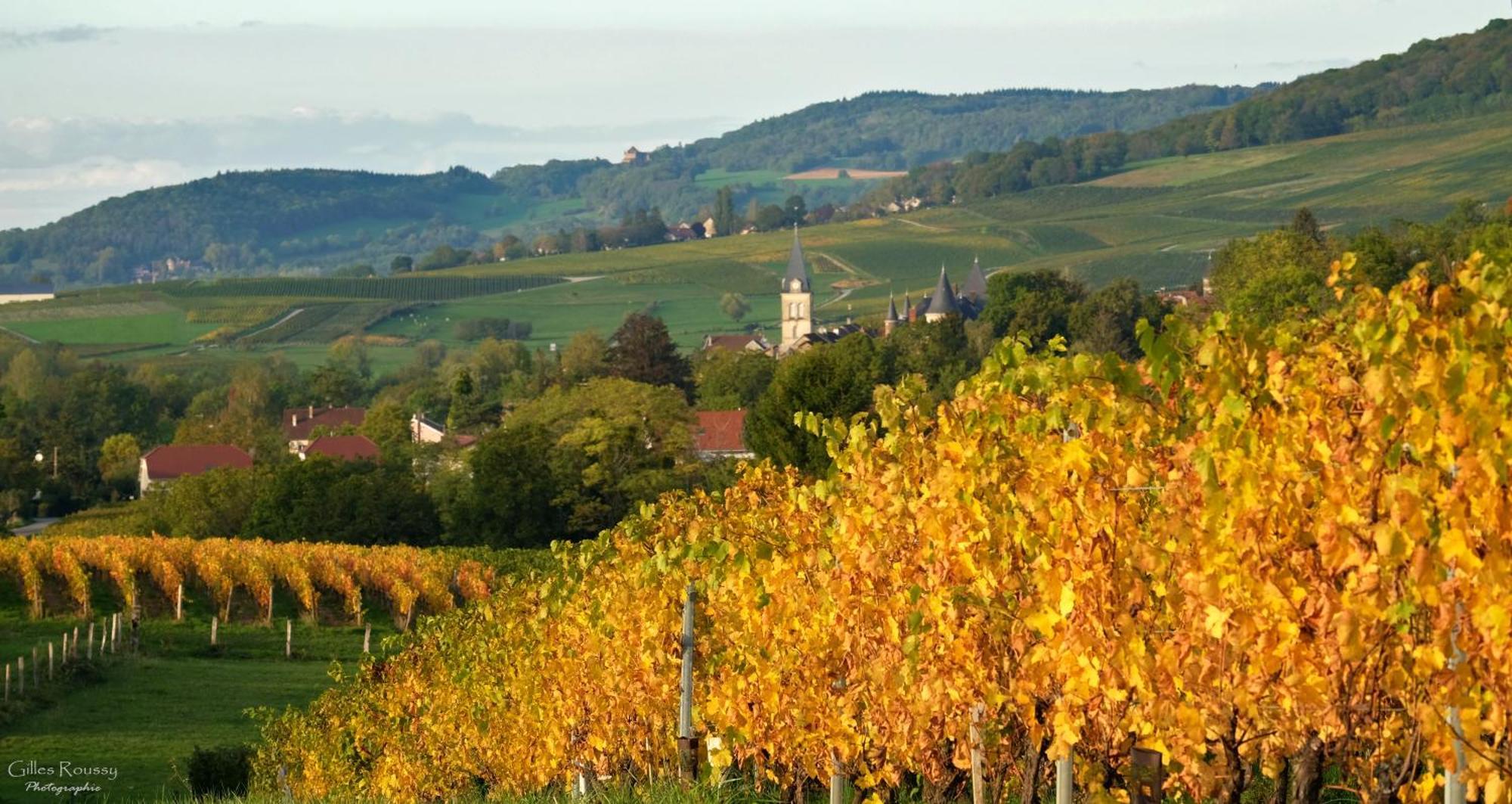 Gite Le Douglas, Vignoble Et Reculees Du Jura - Avec Sauna Lavigny Eksteriør bilde